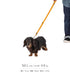 MANDARINE BROTHERS クラシックリード/CLASSIC LEASH